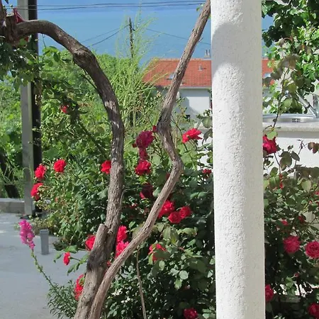 Apartment Dalmacija *