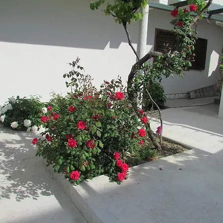Dalmacija Apartment *