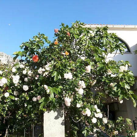 Apartment Dalmacija