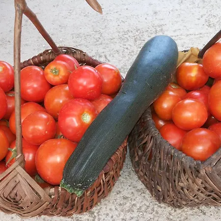 Dalmacija