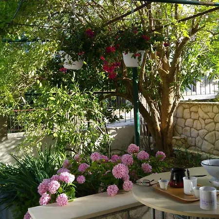 Dalmacija Gradac (Split-Dalmatia)
