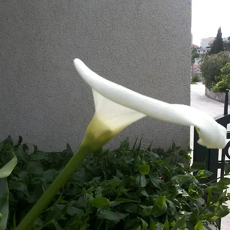 Daire Dalmacija Gradac (Split-Dalmatia)