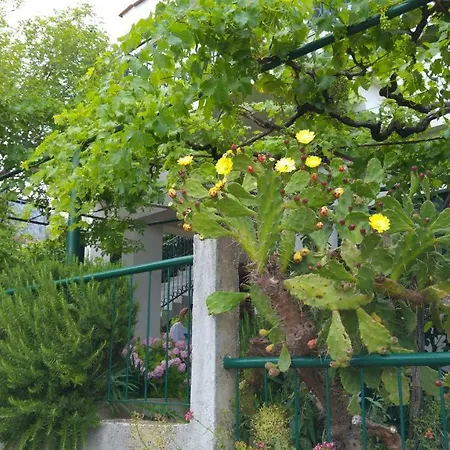 Dalmacija Апартаменты Градац