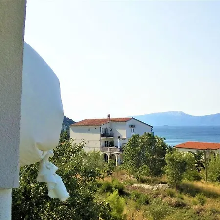 Dalmacija Daire