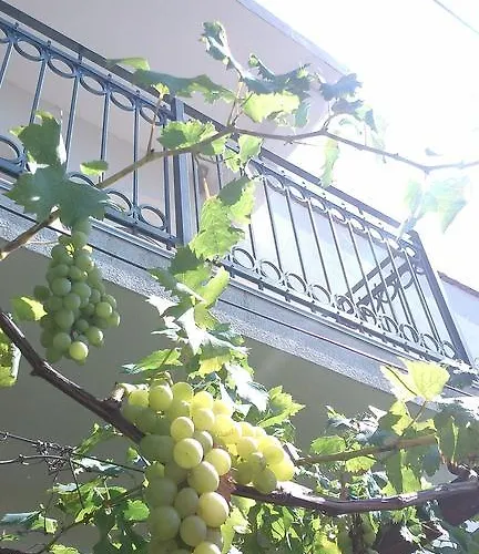 Dalmacija 아파트 *