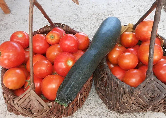 Dalmacija