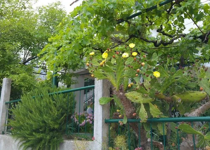 Dalmacija 아파트 그라다츠