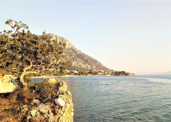 Dalmacija