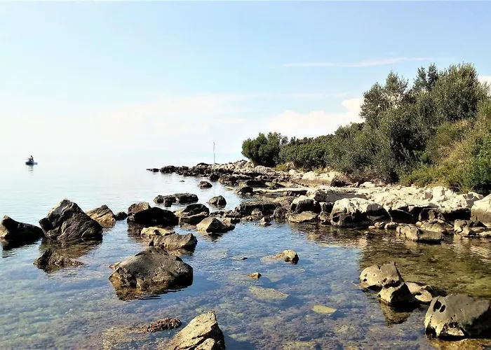 Dalmacija *